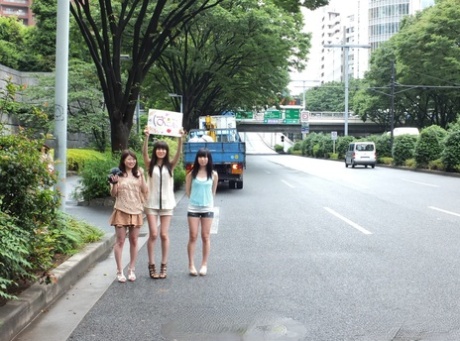 Japanese girls give a CFNM blowjob after flagging down a motorist 88084904