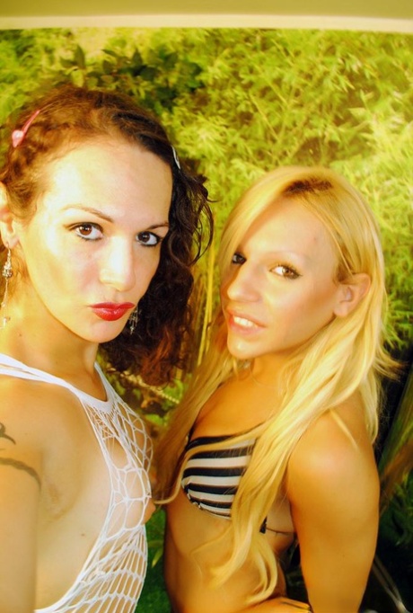 She Lesbian POV Porn XXX 73280688