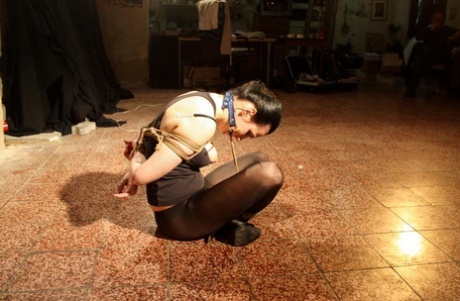 Brunette female in pantyhose is tied up with rope and left to struggle 64729919